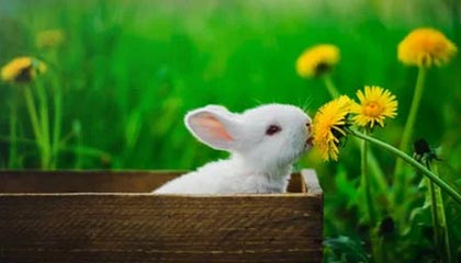 三角洲手游游戏截图